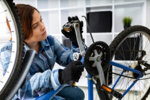Bulls Lacuba Evo 25 – Probleme – Typische Fehler und Wartungstipps für das E-Bike