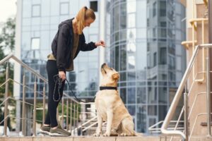 Technik Museum Speyer – Hunde Erlaubt? Ob Hunde im Technik Museum Speyer erlaubt sind und welche Regeln gelten